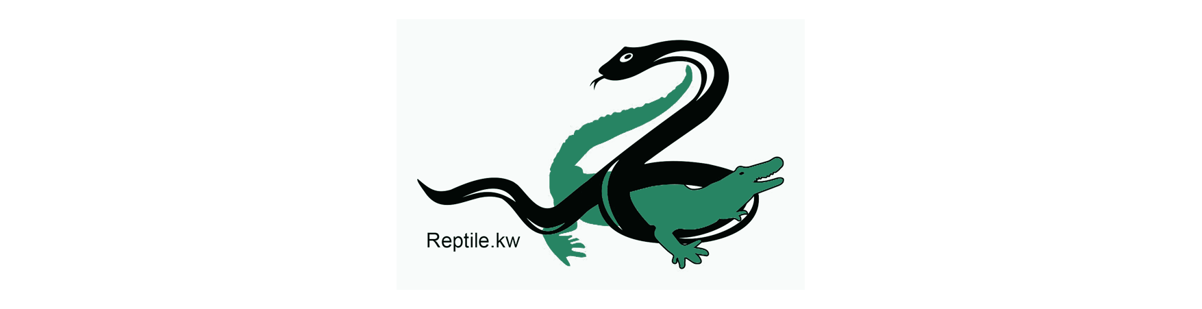 ريبتيل كويت